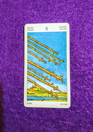 Lectura De TAROT El 8 De Bastos El Tarot De Alexia 